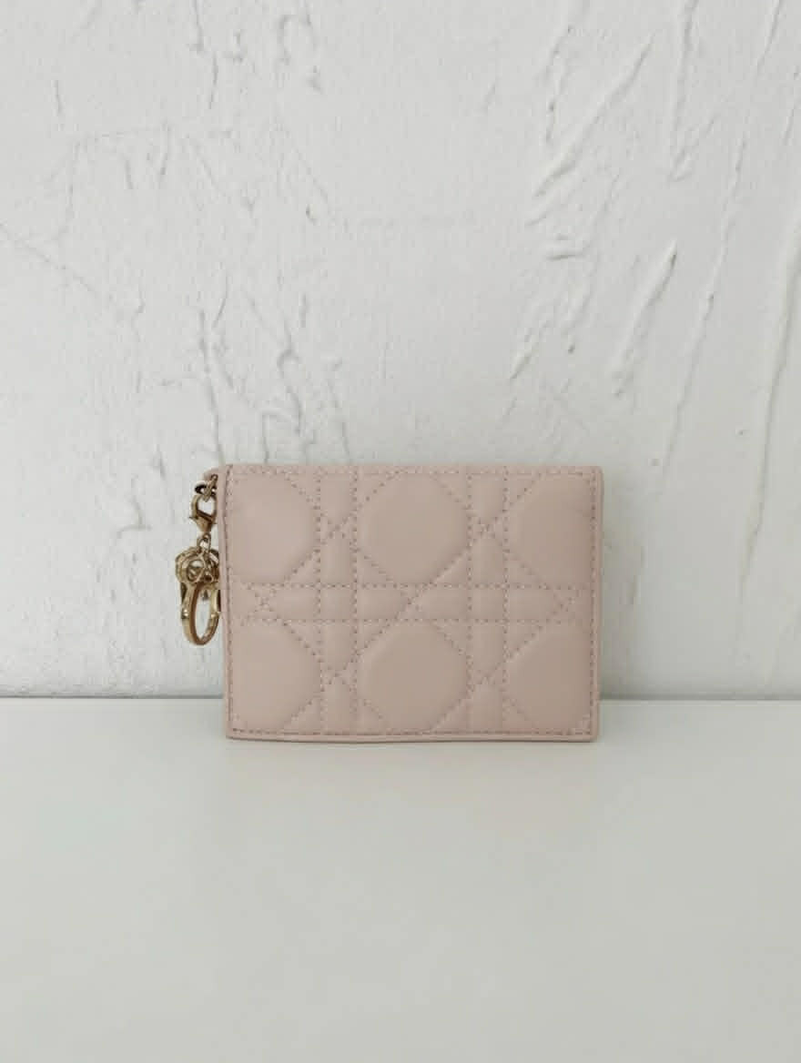 Dior Caro Daily Wallet on Chain (Mini)