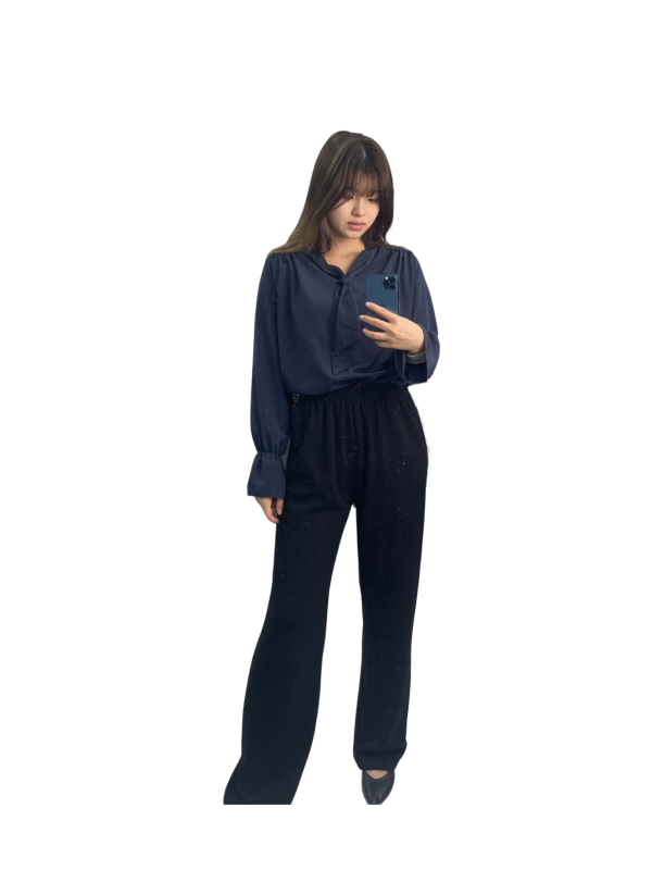 Viral Navy Bow-Tie Blouse